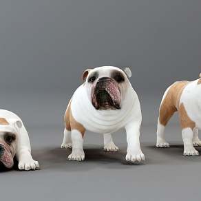 现代宠物狗3D模型下载